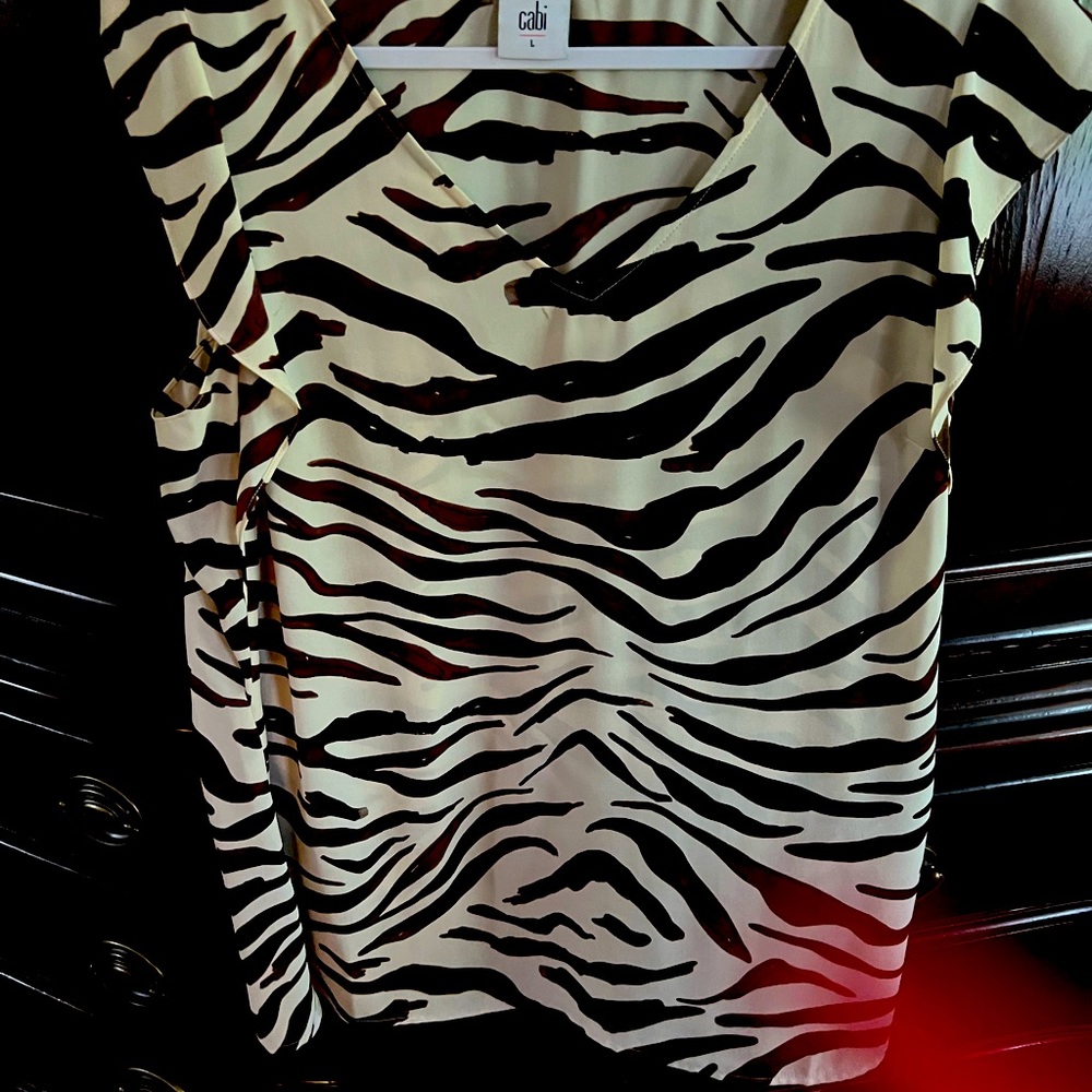 Zebra Print Top